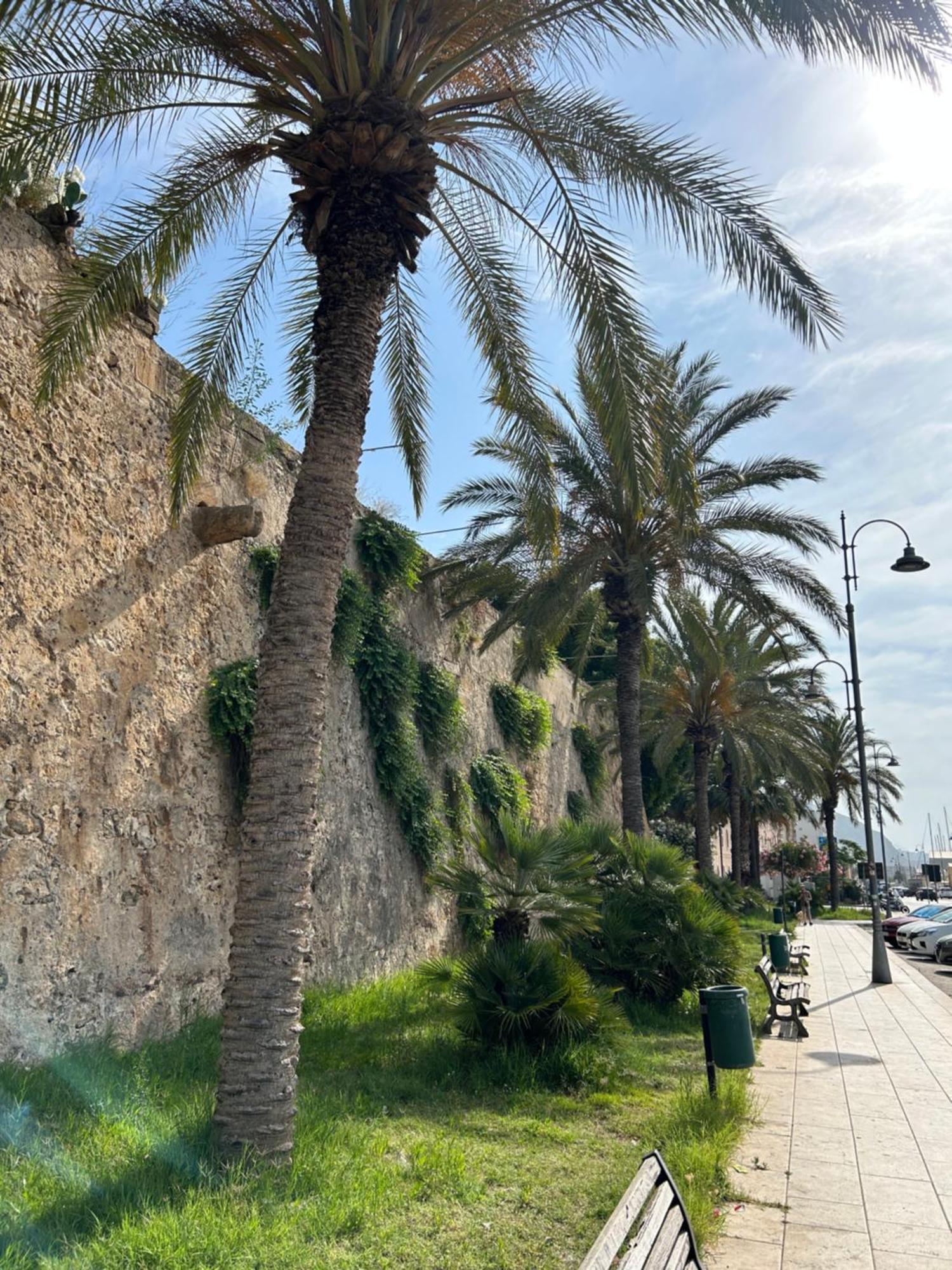 Galli Beach House Sicily Apartment Trapani Ngoại thất bức ảnh